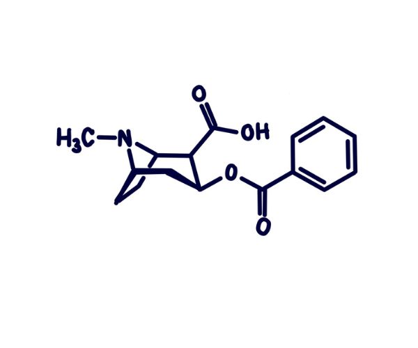 Benzoylecgonine Image